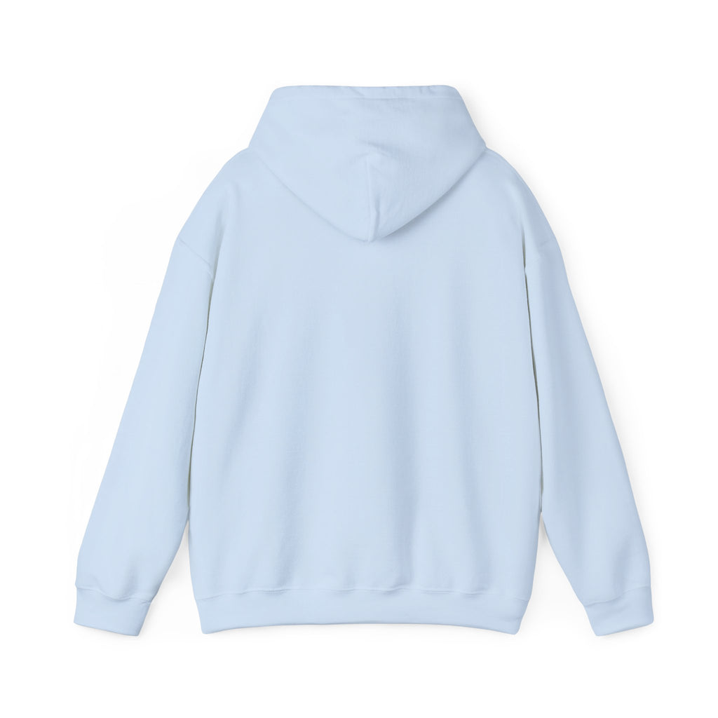 Raven Moon Hoodie — Mystical Twin Ravens Graphic Sweatshirt